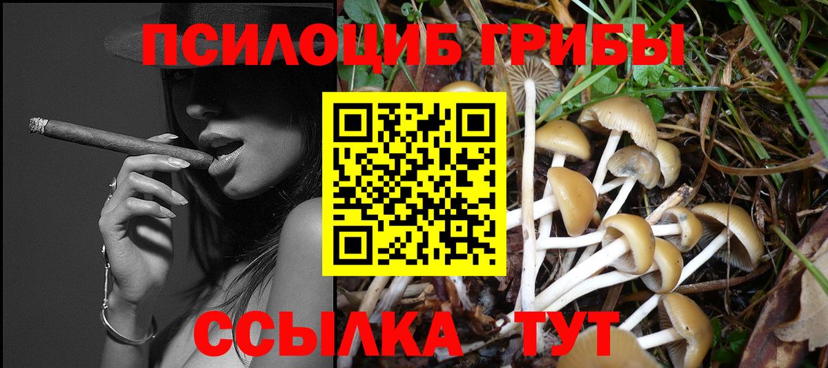 Псилоцибиновые грибы ЛСД Железноводск
