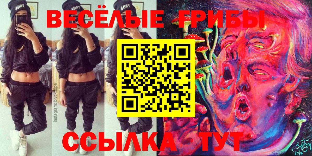 Галлюциногенные грибы MAGIC MUSHROOMS  Вход с VPN  Железноводск  Галлюциногенные грибы мухоморы 